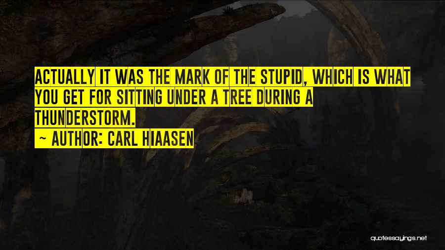 Thunderstorm Quotes By Carl Hiaasen
