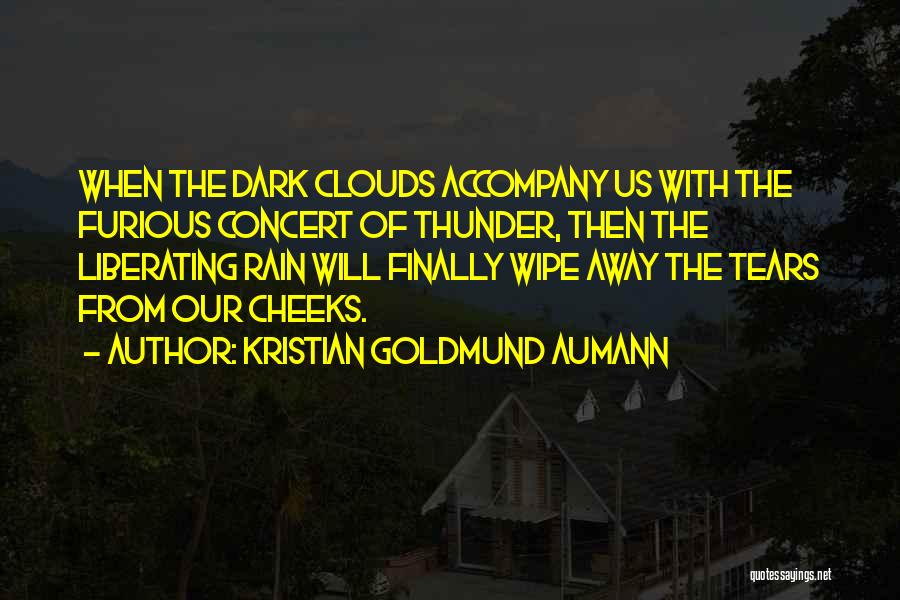 Thunderstorm Quotes By Kristian Goldmund Aumann