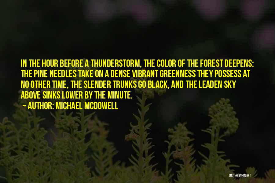 Thunderstorm Quotes By Michael McDowell