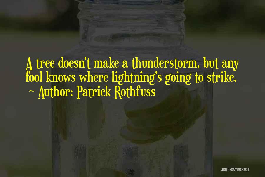 Thunderstorm Quotes By Patrick Rothfuss