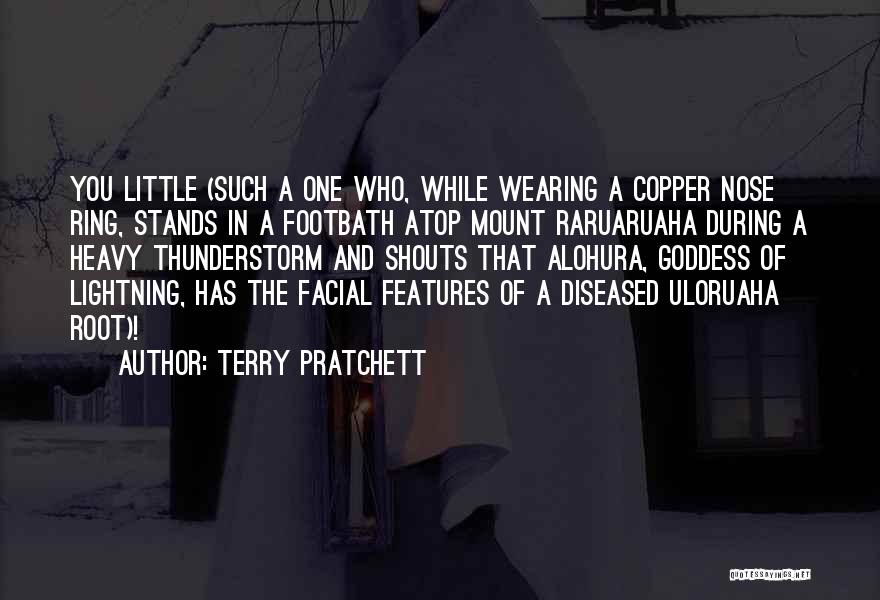 Thunderstorm Quotes By Terry Pratchett