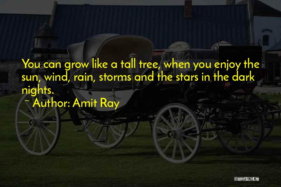 Thunderstorms Quotes By Amit Ray