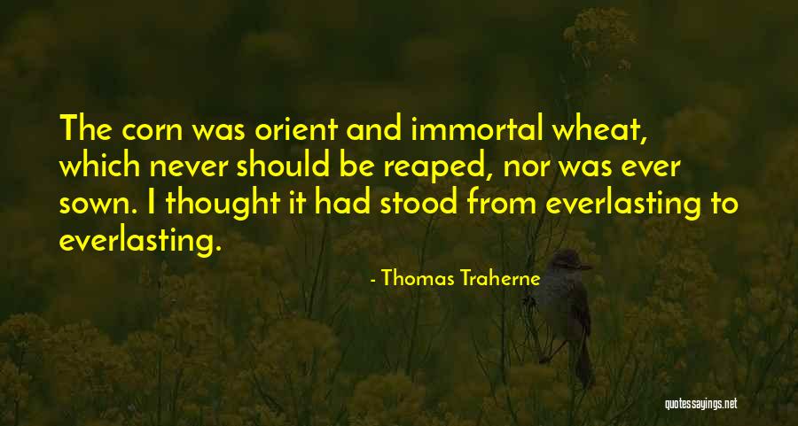 Thunigal Alngaram Quotes By Thomas Traherne