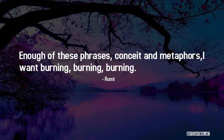 Thuraya Kalutara Quotes By Rumi