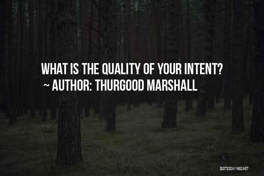 Thurgood Marshall Quotes 1564624