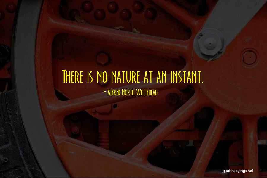 Thusnelda Lodge Quotes By Alfred North Whitehead Thusnelda Lodge Quotes By Alfred North Whitehead