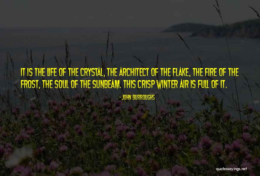 Thyrsus Fire Quotes By John Burroughs Thyrsus Fire Quotes By John Burroughs