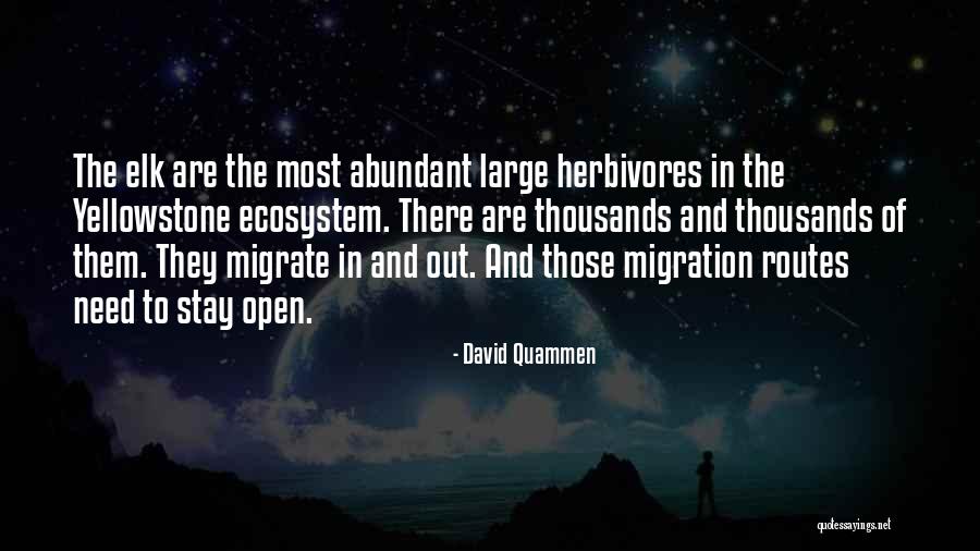 Thyrza Ravesteijn Quotes By David Quammen Thyrza Ravesteijn Quotes By David Quammen