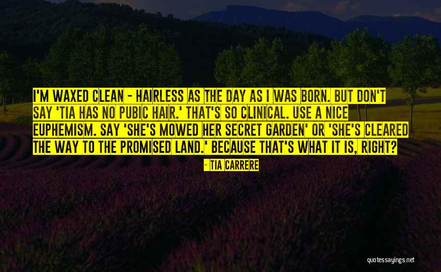 Tia Carrere Quotes 513156 Tia Carrere Quotes 513156