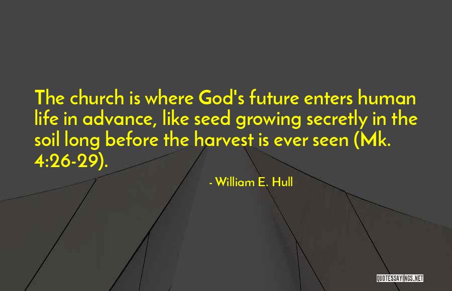 Tiamzons Quotes By William E. Hull Tiamzons Quotes By William E. Hull