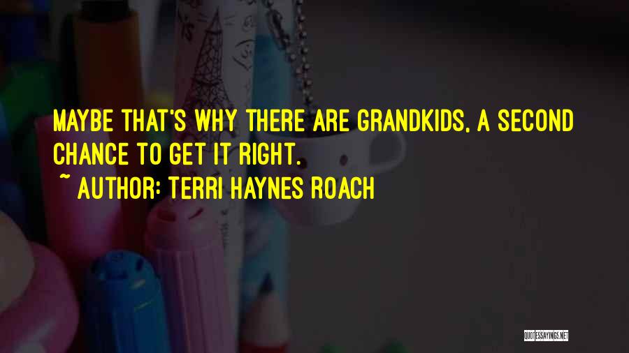 Tiana Tozer Quotes By Terri Haynes Roach