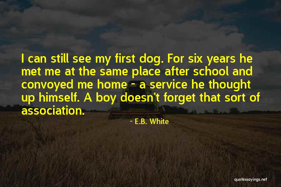Tiberghien Canadian Quotes By E.B. White Tiberghien Canadian Quotes By E.B. White