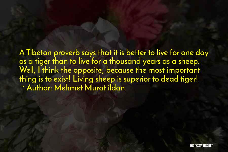 Tibetan Proverb Quotes By Mehmet Murat Ildan