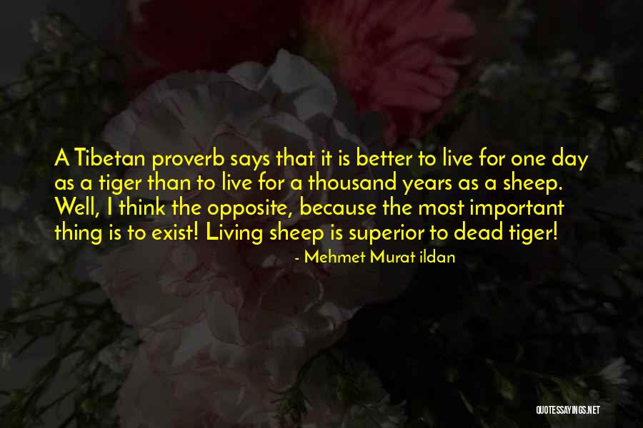 Tibetan Proverb Quotes By Mehmet Murat Ildan