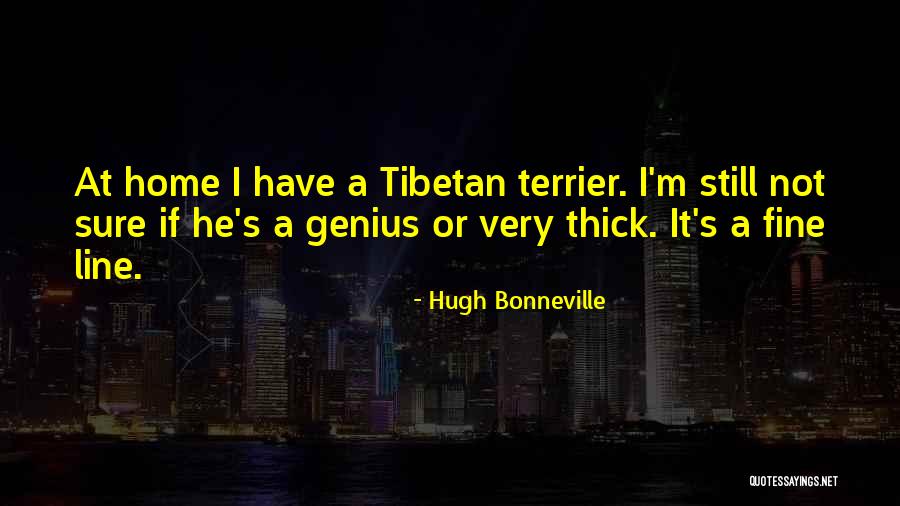 Tibetan Quotes By Hugh Bonneville