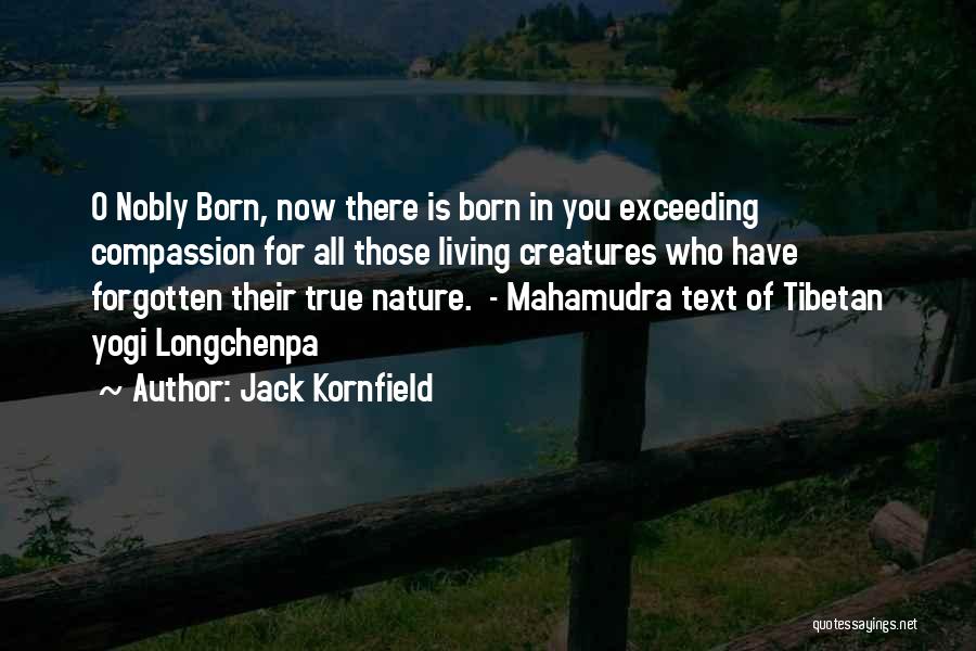 Tibetan Quotes By Jack Kornfield