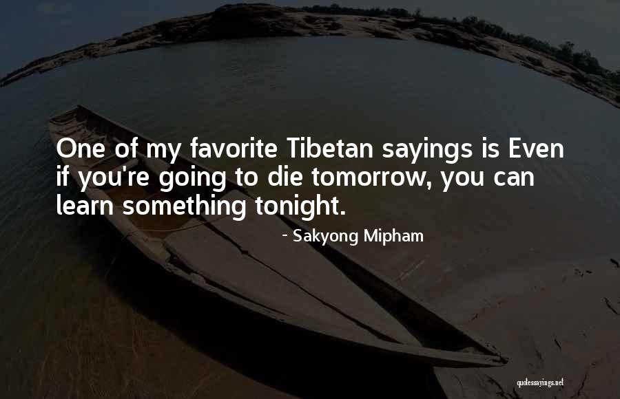 Tibetan Quotes By Sakyong Mipham