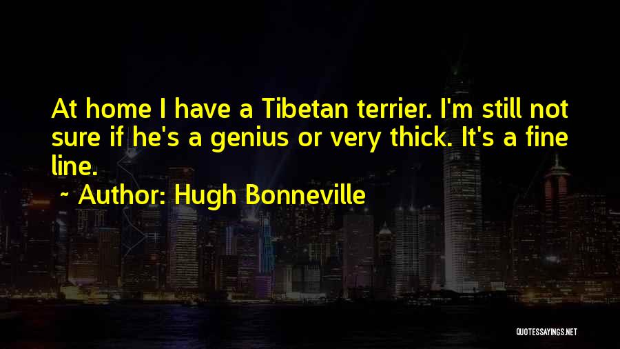 Tibetan Terrier Quotes By Hugh Bonneville