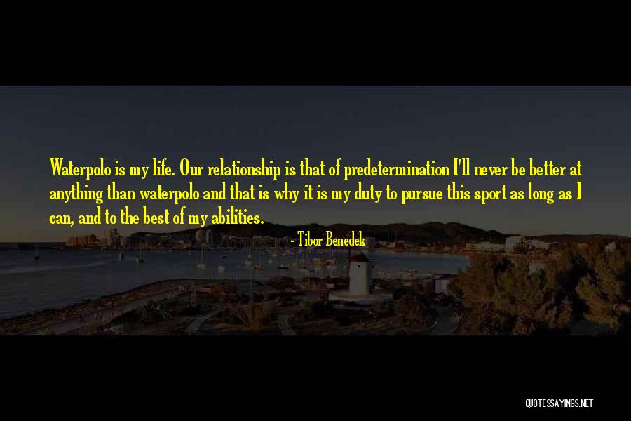 Tibor Benedek Quotes 1189576