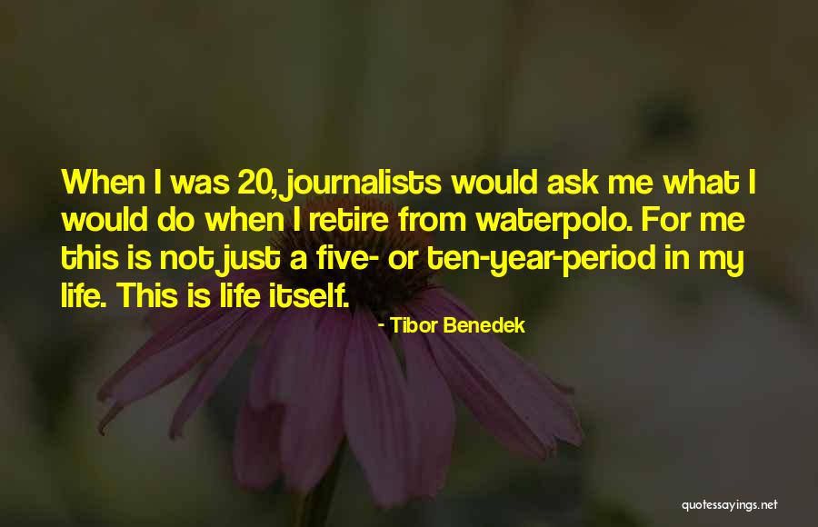 Tibor Benedek Quotes 2183496