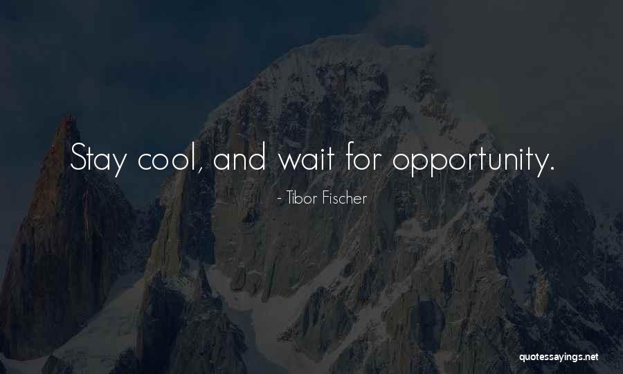 Tibor Fischer Quotes 920460 Tibor Fischer Quotes 920460