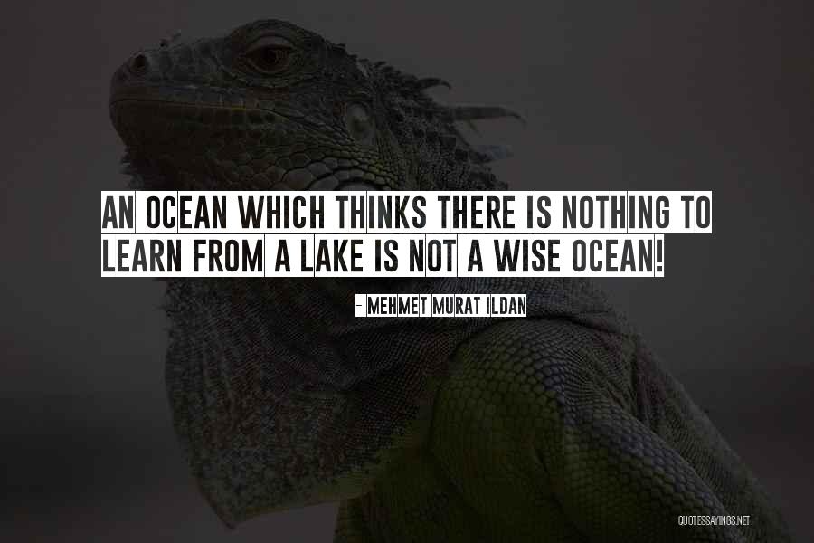Tichauer Chiropractic Quotes By Mehmet Murat Ildan Tichauer Chiropractic Quotes By Mehmet Murat Ildan