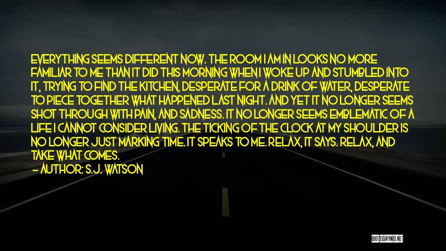 Ticking Time Quotes By S.J. Watson