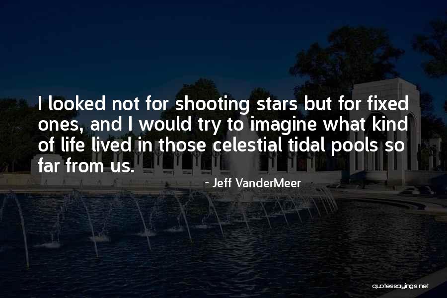 Tidal Pools Quotes By Jeff VanderMeer