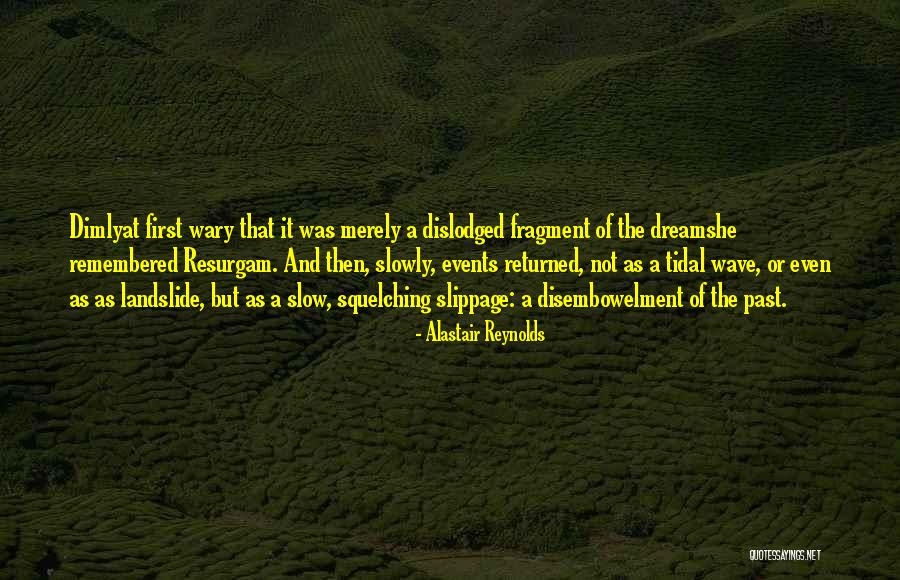 Tidal Wave Quotes By Alastair Reynolds Tidal Wave Quotes By Alastair Reynolds