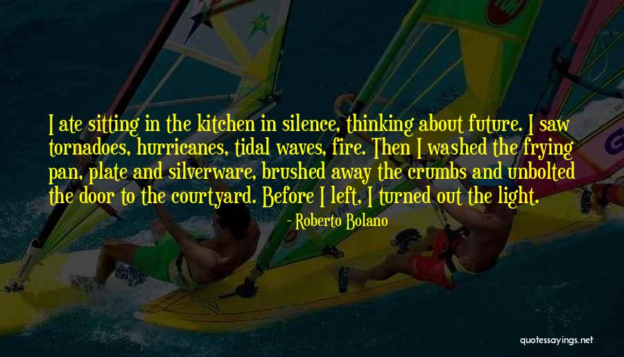 Tidal Waves Quotes By Roberto Bolano