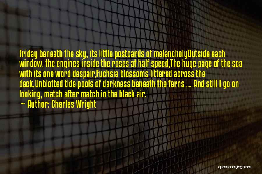 Tide Pools Quotes By Charles Wright