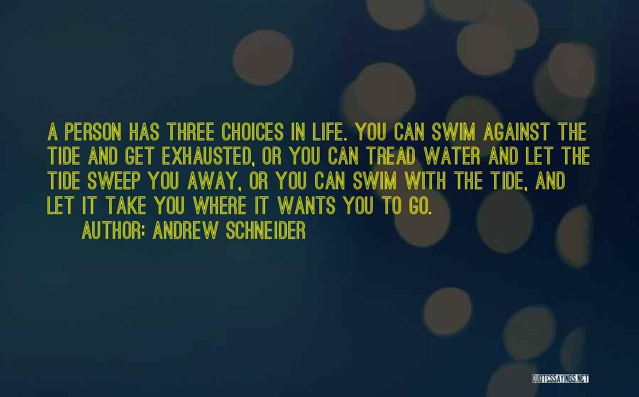 Tide Quotes By Andrew Schneider