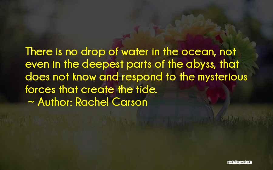 Tides Quotes By Rachel Carson