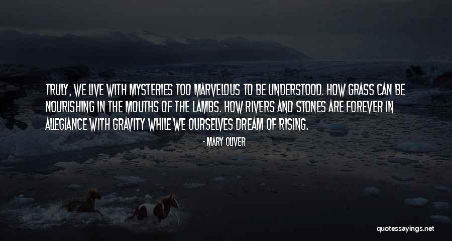 Tidied Up Quotes By Mary Oliver Tidied Up Quotes By Mary Oliver