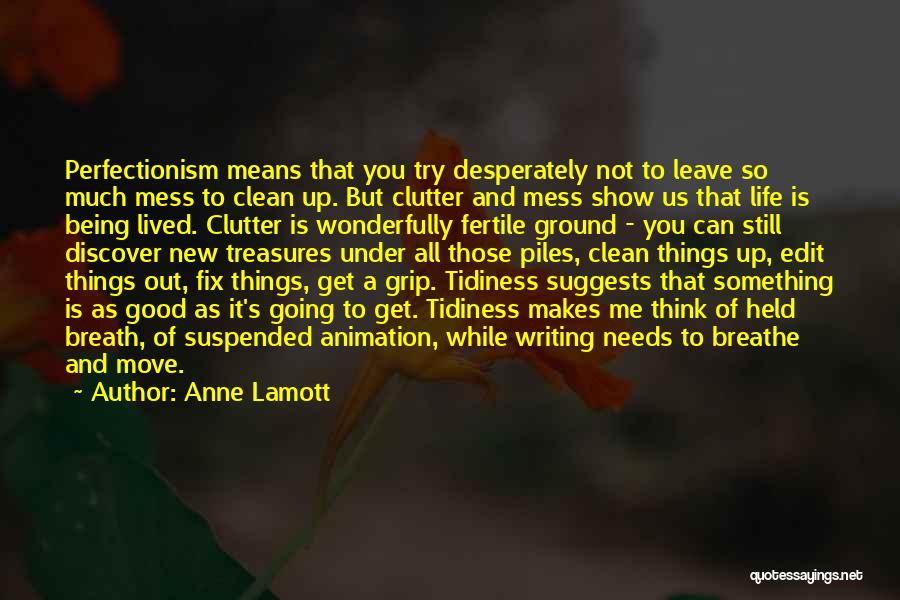 Tidiness Quotes By Anne Lamott