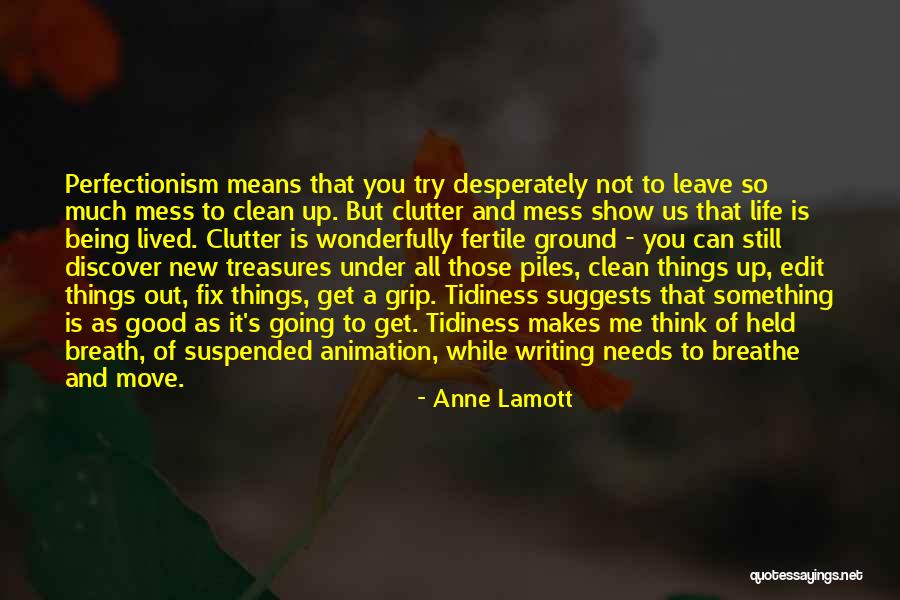 Tidiness Quotes By Anne Lamott