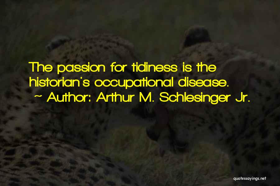 Tidiness Quotes By Arthur M. Schlesinger Jr.