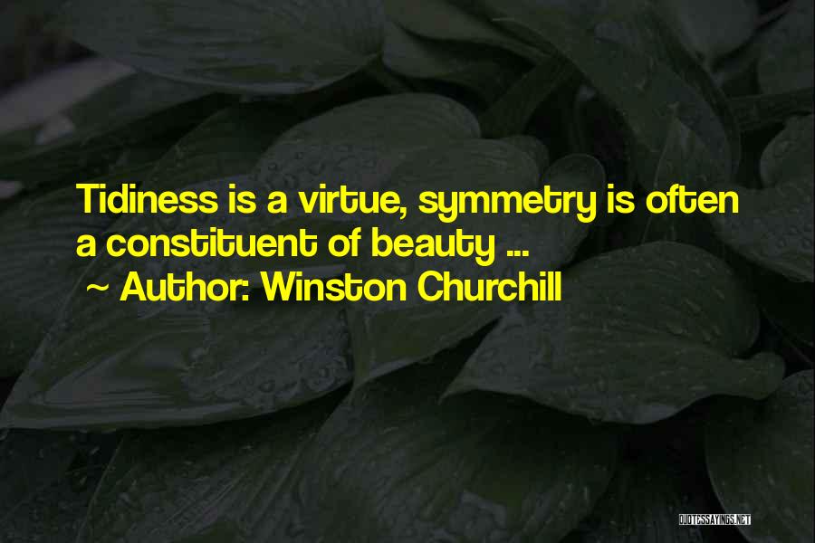 Tidiness Quotes By Winston Churchill