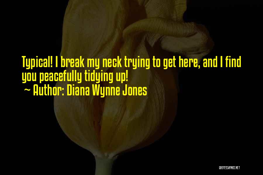 Tidying Quotes By Diana Wynne Jones