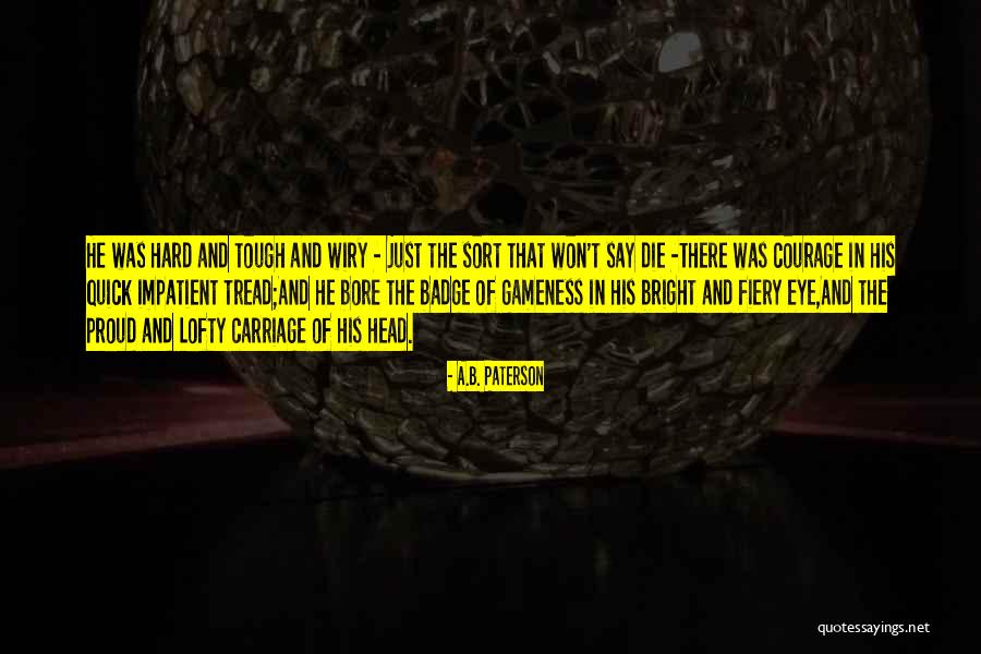 Tie Dyeing Quotes By A.B. Paterson Tie Dyeing Quotes By A.B. Paterson
