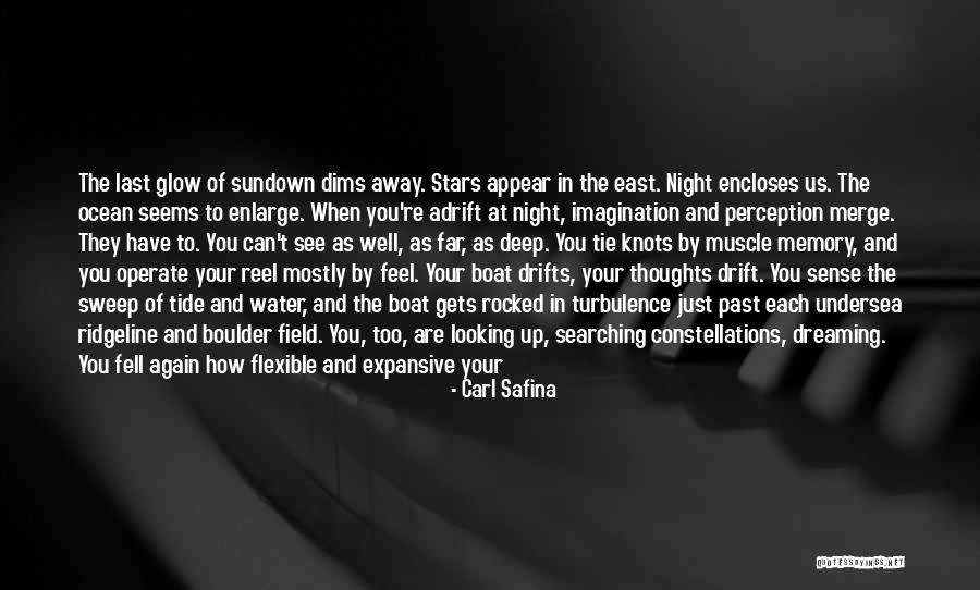 Tie Tie Quotes By Carl Safina Tie Tie Quotes By Carl Safina