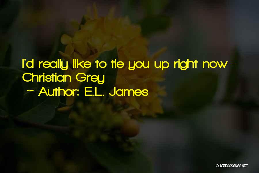 Tie You Up Quotes By E.L. James
