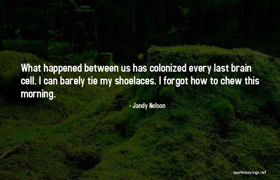 Tie Your Shoelaces Quotes By Jandy Nelson Tie Your Shoelaces Quotes By Jandy Nelson