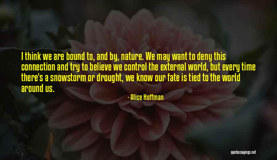 Tied Quotes By Alice Hoffman Tied Quotes By Alice Hoffman