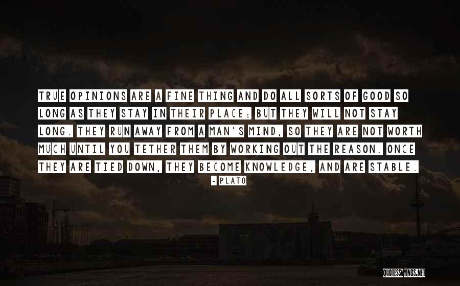 Tied Quotes By Plato Tied Quotes By Plato