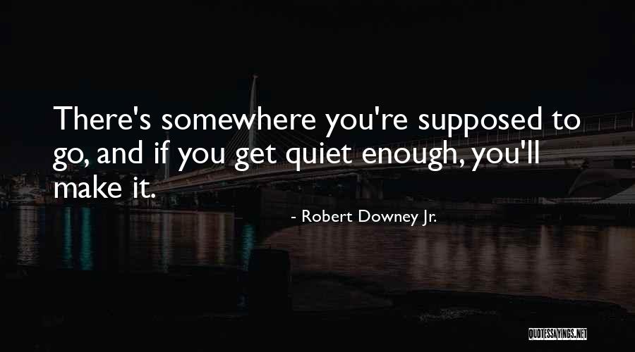 Tiendoduan Quotes By Robert Downey Jr. Tiendoduan Quotes By Robert Downey Jr.