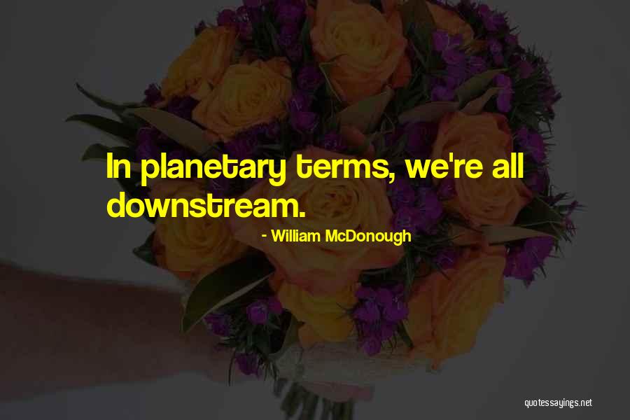 Tiernos Animados Quotes By William McDonough