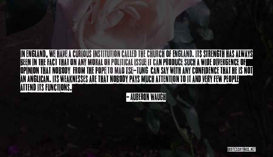 Tiernos Ositos Quotes By Auberon Waugh Tiernos Ositos Quotes By Auberon Waugh