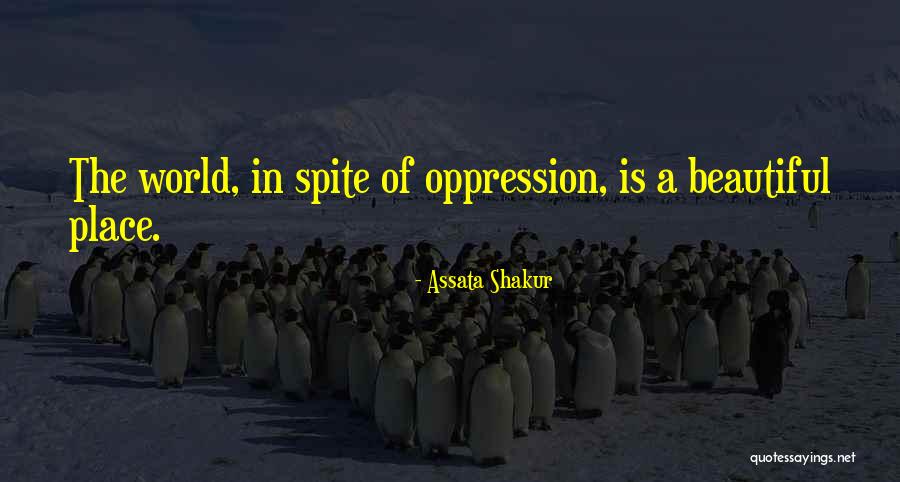 Tieta Quotes By Assata Shakur Tieta Quotes By Assata Shakur