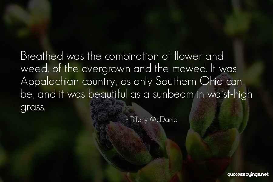 Tiffany McDaniel Quotes 1232012 Tiffany McDaniel Quotes 1232012